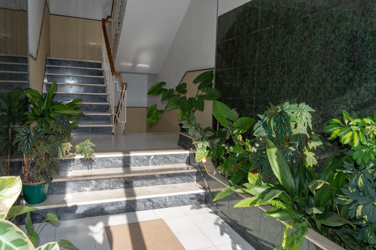 Ferienwohnung Flat In The Heart Of Algarve São Brás de Alportel Exterior foto